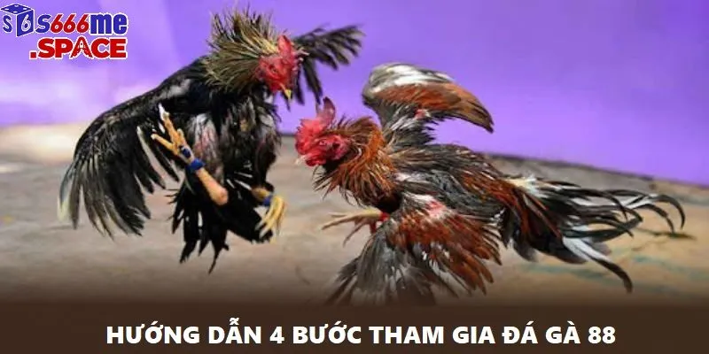 Để tham gia Đá Gà 88 tại s666 bạn chỉ cần làm theo vài bước đơn giản